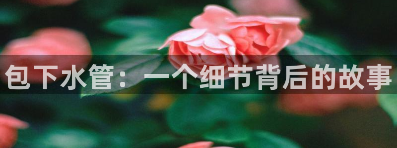 球盟会黑平台