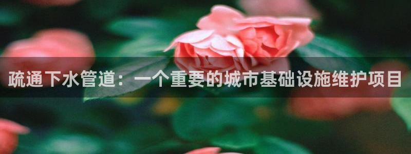 球盟会官方平台入口