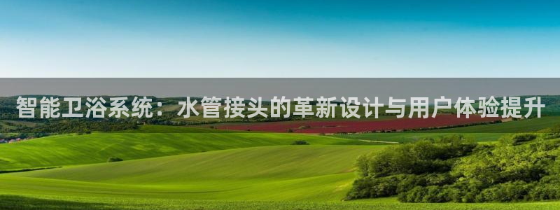 球盟会黑台子