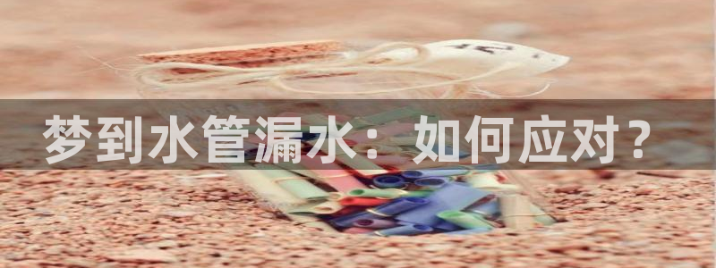 球盟会和中欧