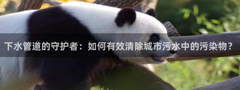 球盟会优惠领取网站