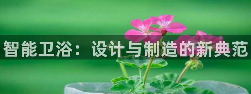 球盟会app安装