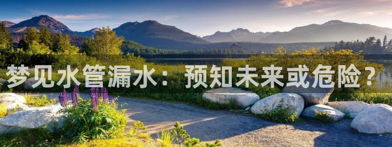 球盟会综合app下载