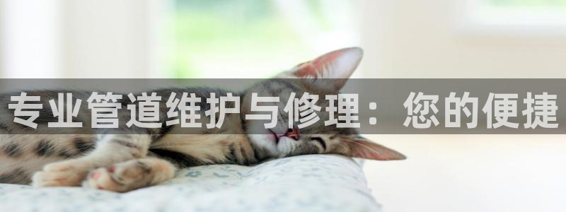 球盟会官方网站app