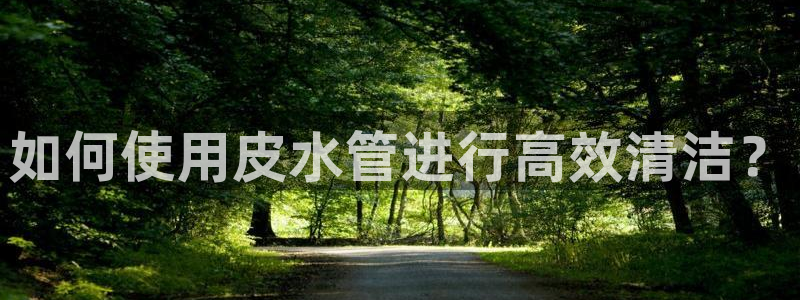 球盟会电子