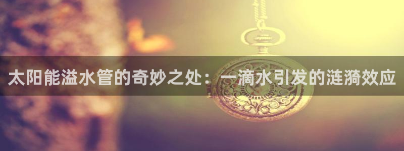 球盟会官网app下载