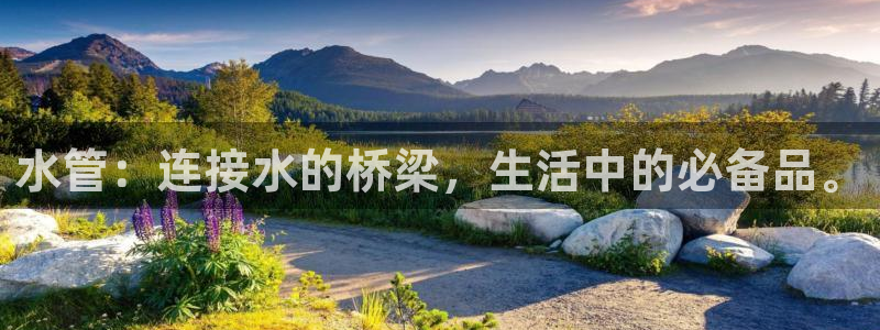 球盟会app最新地址在哪