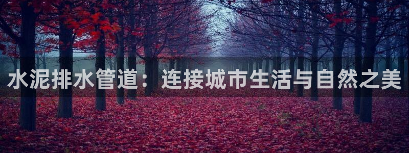球盟会体育平台