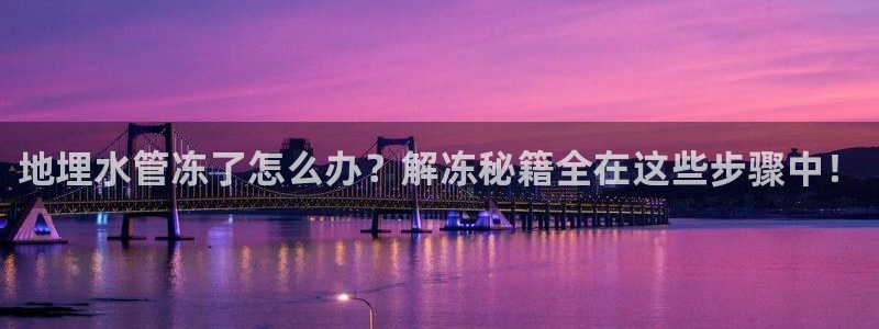 球盟会官方最新入口