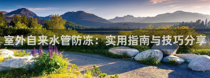 球盟会中国网页登录