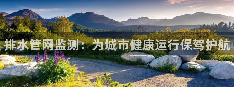 球盟会黑款吗
