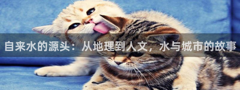 球盟会app安装