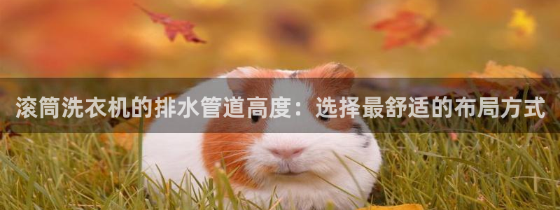 球盟会官网app下载