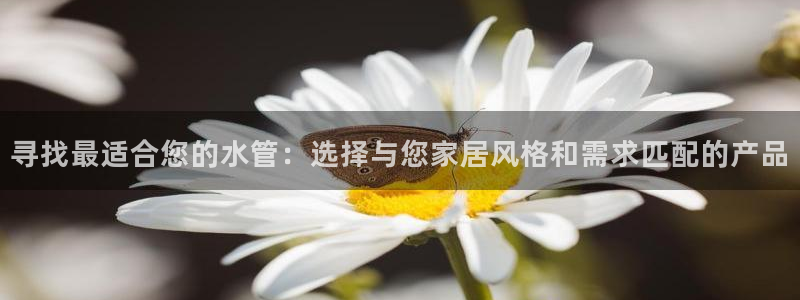 球盟会能提现吗安全吗