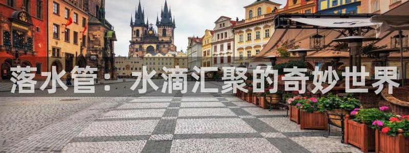 球盟会网页登录app下载地址