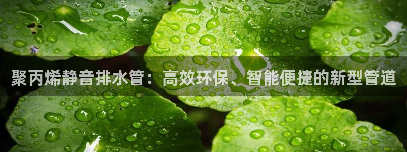 球盟会下款快吗