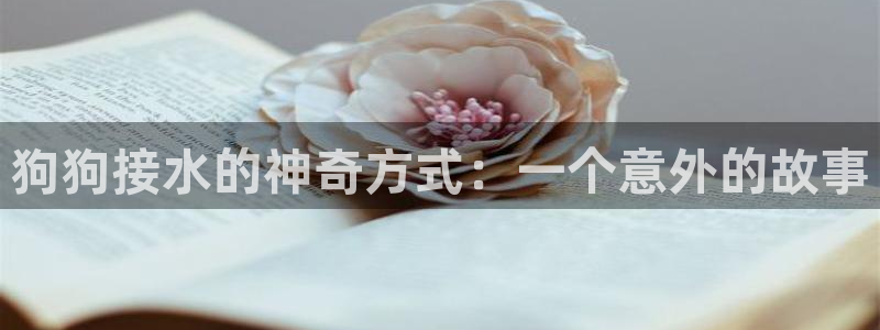 球盟会最新网