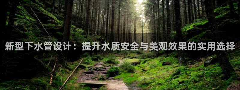 球盟会官方下载