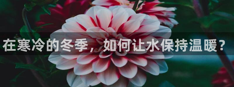 球盟会网页版