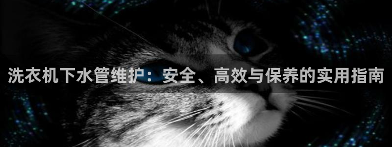 球盟会黑款吗还是白款