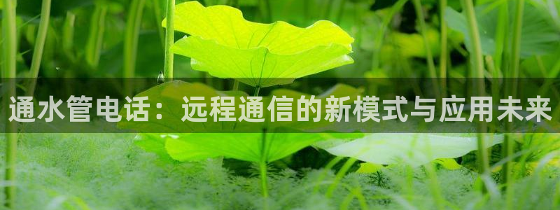球盟会官网app下载