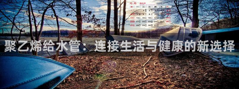 球盟会app网址多少