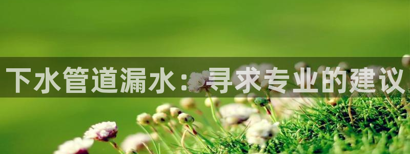 球盟会体验金