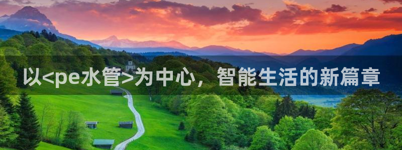 球盟会和中欧合作吗