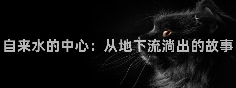 球盟会在线登录官网