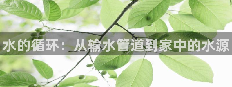 球盟会在线登录官网