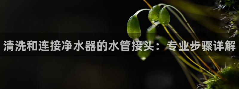 球盟会有没有黑单的球员
