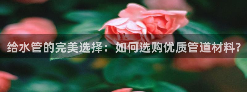 球盟会和中欧