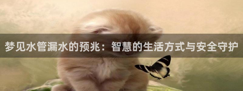 球盟会APP下载