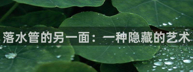 球盟会和中欧会的区别