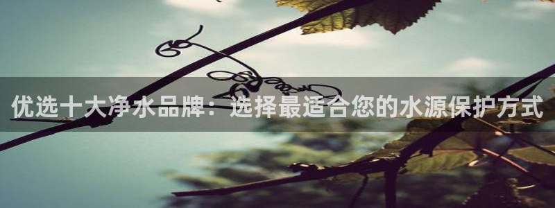 球盟会封禁