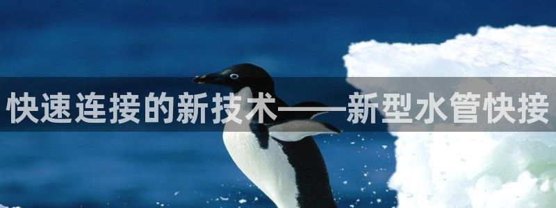 球盟会App