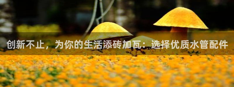 球盟会福利码2023最简单三个步骤