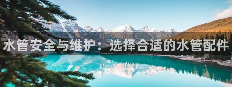 球盟会qm9