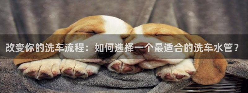 球盟会乐虎