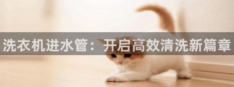 球盟会app安装
