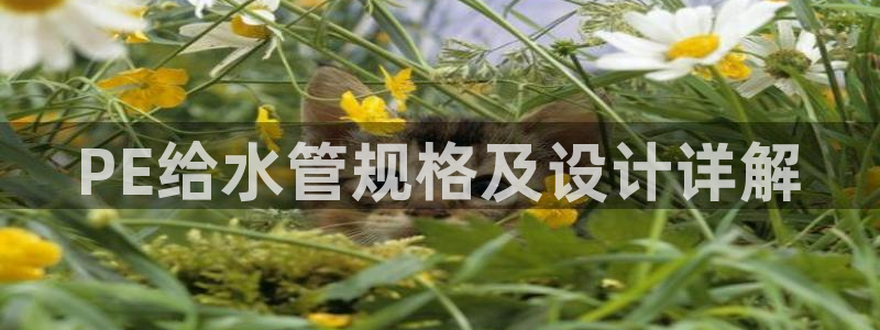 球盟会登陆