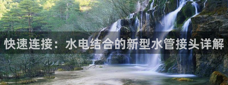 球盟会头号玩家是谁