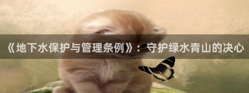 千亿球盟会乐玩