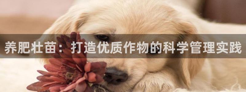 球盟会优惠领取网站是真的吗