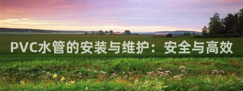 球盟会登录网址