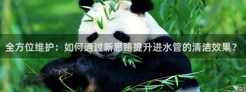 球盟会综合体育平台