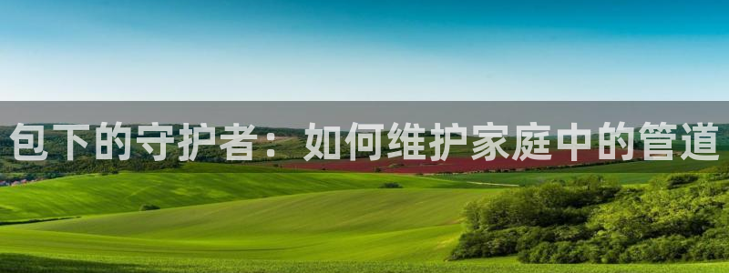 球盟会电子好下吗