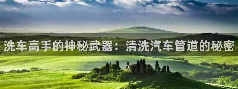 球盟会下载最新版