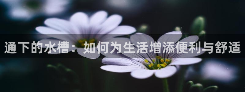 球盟会官方网址入口