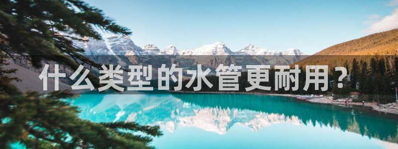 球盟会APP最新地址